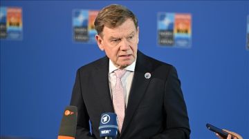 ألمانيا تدعم خطة ترامب لوقف إطلاق النار بغزة ألمانيا تدعم خطة ترامب لوقف إطلاق النار بغزة