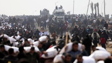 ارتفاع ضحايا لقمة العيش في غزة إلى 2,531 شهيدا و18,531 جريحا