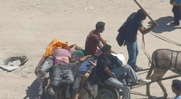 استشهاد 3 فلسطينيين من منتظري المساعدات بنيران العدو الإسرائيلي جنوبي قطاع غزة