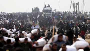 ارتفاع ضحايا لقمة العيش في غزة إلى 2,531 شهيدا و18,531 جريحا