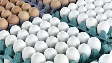 كم سعر كرتونة البيض اليوم الجمعة 12 سبتمبر 2025 في مصر؟ كم سعر كرتونة البيض اليوم الجمعة 12 سبتمبر 2025 في مصر؟
