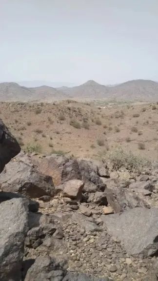 مقتل طفل وإصابة آخرين بسبب نزاع قبلي في عمران