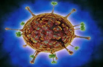 القصة الكاملة لفيروس نيباه القاتل وأسباب عودته مرة أخرى القصة الكاملة لفيروس نيباه القاتل وأسباب عودته مرة أخرى