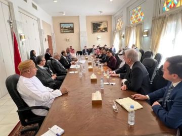 الملاحقة الدولية بدأت.. وزارة حقوق الإنسان تقدم ملفات جرائم الانتقالي للسفراء والبعثات الدبلوماسية