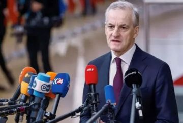 النرويج وإيطاليا ترفضان المشاركة في مجلس ترامب السلام النرويج وإيطاليا ترفضان المشاركة في مجلس ترامب السلام