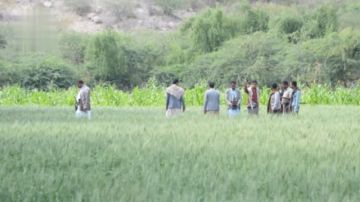 الشمسي يطلع على نماذج نوعية لمزارعي في مقبنة