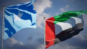 هام الصومال تلغي جميع اتفاقياتها الموقعة مع الإمارات