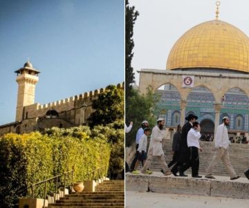 الأوقاف الفلسطينية: 27 اقتحاما للأقصى ومنع رفع الأذان 53 وقتا في الحرم الإبراهيمي الشهر الماضي الأوقاف الفلسطينية: 27 اقتحاما للأقصى ومنع رفع الأذان 53 وقتا في الحرم الإبراهيمي الشهر الماضي