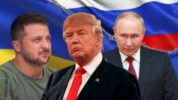 الدوما الروسي: على زيلينسكي الالتزام باتفاقيات ألاسكا