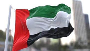 اليمن.. وثوابت الإمارات الراسخة