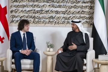 محمد بن زايد ورئيس وزراء جورجيا يبحثان تعزيز التعاون بين البلدين
