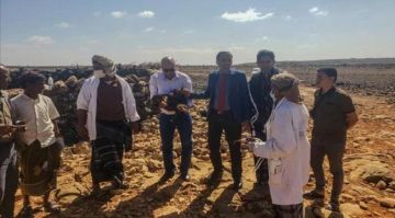 وفد وزارة الزراعة ينفذ زيارة ميدانية لتقييم أوضاع القطاع الزراعي والبيطري في سقطرى