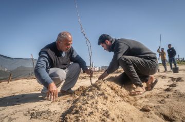 الأغذية العالمي: 40 من أراضي قطاع غزة كانت مزروعة قبل الحرب الأغذية العالمي: 40 من أراضي قطاع غزة كانت مزروعة قبل الحرب