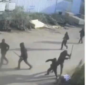 المستوطنون يصعدون من اعتداءاتهم على الممتلكات الفلسطينية بالضفة المحتلة