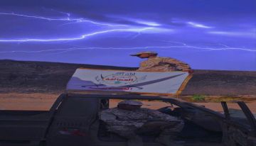 الإشادة بجهود قوات العمالقة الجنوبية في تأمين العاصمة عدن