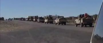 الشرعية تلمح لمعركة قادمة للسيطرة على العاصمة المؤقتة عدن وطرد مليشيا الانتقالي الشرعية تلمح لمعركة قادمة للسيطرة على العاصمة المؤقتة عدن وطرد مليشيا الانتقالي