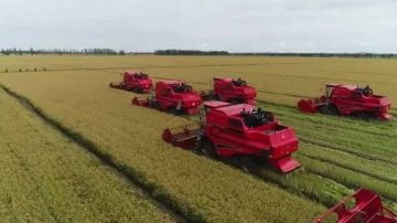 حجم إنتاج الحبوب في الصين يسجل رقما قياسيا جديدا في عام 2025 حجم إنتاج الحبوب في الصين يسجل رقما قياسيا جديدا في عام 2025