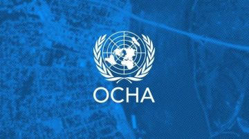 الأمم المتحدة: عنف المستوطنين المدعوم من إسرائيل سبب رئيسي للتهجير القسري في فلسطين