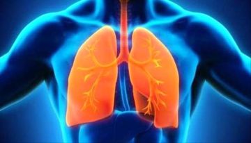 نصائح لتعزيز صحة الجهاز التنفسي.. تعرف عليها نصائح لتعزيز صحة الجهاز التنفسي.. تعرف عليها