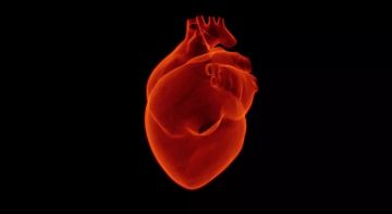 دراسة: 99 من النوبات القلبية مرتبطة بـ4 عوامل دراسة: 99 من النوبات القلبية مرتبطة بـ4 عوامل