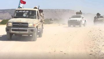 البحسني لـ فرانس برس : القوات الجنوبية ترفض التوحيد القسري