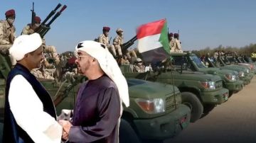 تسريب صوتي يكشف توبيخا إماراتيا لقيادي في الدعم السريع : لا تصوروا...فضحتونا! - استمع 