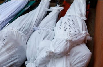 4 شهداء برصاص الاحتلال في قطاع غزة خلال يوم أمس الأحد 4 شهداء برصاص الاحتلال في قطاع غزة خلال يوم أمس الأحد