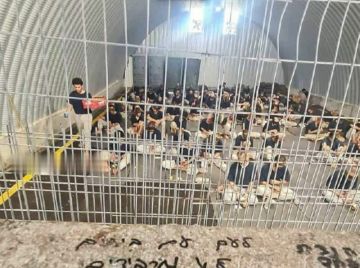 إعلام الأسرى الفلسطينيين: العدو الصهيوني اعتقل 5 نساء منذ بداية 2026