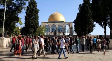 260 مستوطنا يدنسون باحات المسجد الأقصى