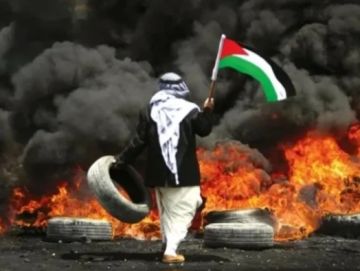 معطى: 85 عملا مقاوما نوعيا وشعبيا في نابلس خلال يناير الجاري