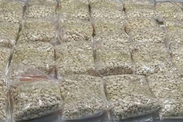 انتشار مخيف لمخدر الشبو بين طلاب المدارس في حضرموت وسط تحذيرات من كارثة مجتمعية