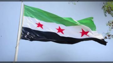 الحكومة السورية تطالب بخروج المجموعات المسلحة من أحياء حلب وتؤكد مسؤوليتها عن حماية المواطنين الحكومة السورية تطالب بخروج المجموعات المسلحة من أحياء حلب وتؤكد مسؤوليتها عن حماية المواطنين