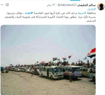 الإمارات تعاقب سكان عدن لإجبارهم على الانتفاضة وأكبر معاقلها تزحف على المدينة