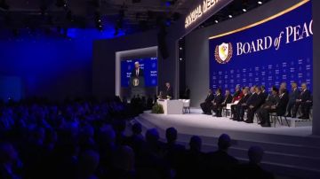 سياسي إيرلندي: مجلس ترامب للسلام مجلس دمى لا يحترم القانون الدولي