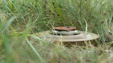 اليمن.. إتلاف 636 قطعة من الألغام والذخائر غير المنفجرة في المكلا