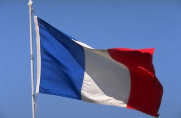 الخارجية الفرنسية ترحب بوقف إطلاق النار في سوريا الخارجية الفرنسية ترحب بوقف إطلاق النار في سوريا