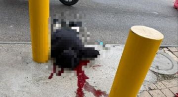 استشهاد شاب فلسطيني برصاص العدو الإسرائيلي غرب بيت لحم بزعم محاولته تنفيذ عملية طعن استشهاد شاب فلسطيني برصاص العدو الإسرائيلي غرب بيت لحم بزعم محاولته تنفيذ عملية طعن