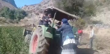 من مريس إلى العالم: مزارع يمني يقتلع القات ويزرع الأمل ببنه الأصيل! من مريس إلى العالم: مزارع يمني يقتلع القات ويزرع الأمل ببنه الأصيل!