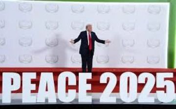 ميرتس لن يحضر مراسم توقيع مجلس السلام في دافوس