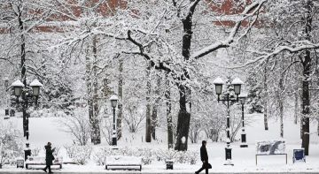 البرودة لا تسبب المرض بل تتسبب بجعلنا أكثر عرضة للعدوى