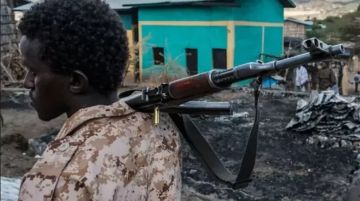 تصعيد جديد في إثيوبيا.. جبهة التغيير تشن هجمات واسعة على قوات جيبوتي في عفار تصعيد جديد في إثيوبيا.. جبهة التغيير تشن هجمات واسعة على قوات جيبوتي في عفار