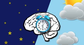 الساعة البيولوجية للرجال.. هل تؤثر على الخصوبة والإنجاب؟