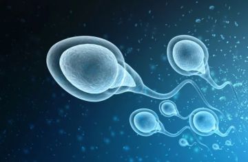 ثورة في الصحة الإنجابية: تطوير أول حبوب منع حمل للرجال بلا هرمونات ثورة في الصحة الإنجابية: تطوير أول حبوب منع حمل للرجال بلا هرمونات