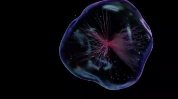 دراسة: الخلايا البشرية قد تولد الكهرباء ذاتيا