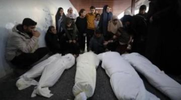 ارتفاع عدد شهداء الإبادة الإسرائيلية بغزة إلى 71 ألفا و395 ارتفاع عدد شهداء الإبادة الإسرائيلية بغزة إلى 71 ألفا و395