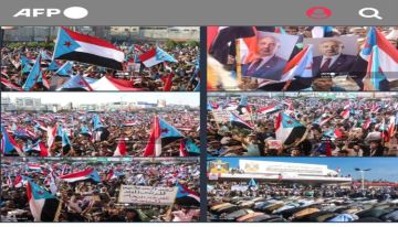 ترجمة بيان مليونية الوفاء والصمود التاريخي إلى اللغتين الإنجليزية والفرنسية