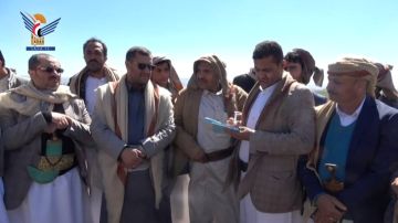 عمران.. تدشين موسم حصاد الثوم في قاع البون للعام 1447هـ