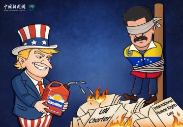 ماذا بعد عودة قانون الغاب إلى الساحة الدولية