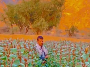 جريمة مروعة .. مقتل شاب خلال حراسة القات في عمران