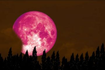 قمر عملاق وزخة شهب.. سماء يناير 2026 على موعد مع الإثارة الكونية